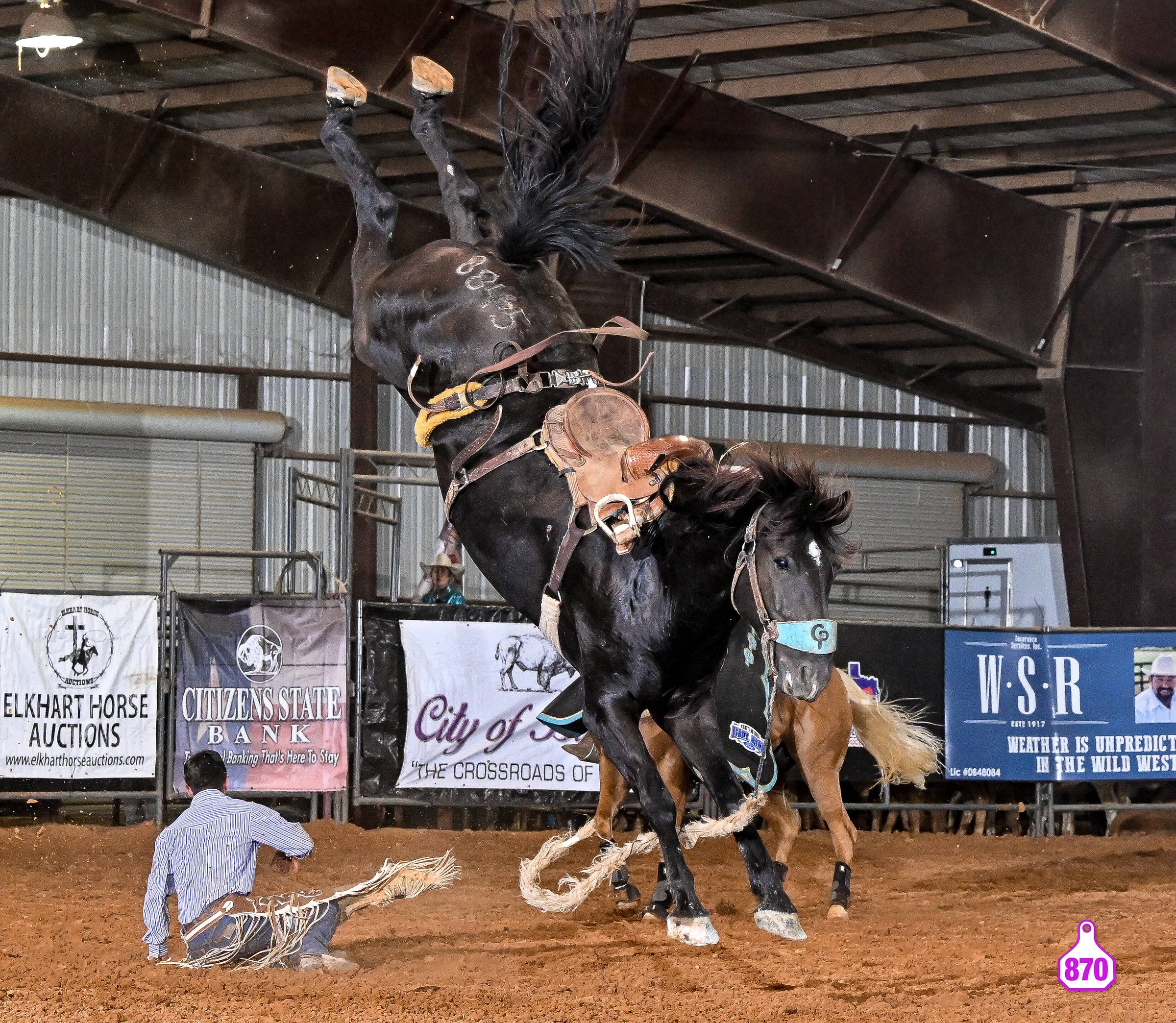 Beefalo Rodeo Buffalo Pro Rodeo